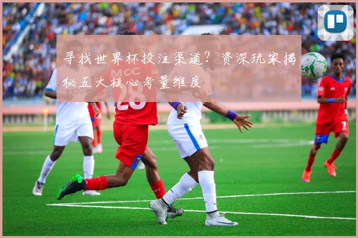 寻找世界杯投注渠道？资深玩家揭秘五大核心考量维度