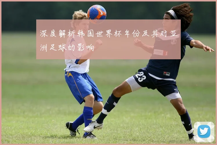 深度解析韩国世界杯年份及其对亚洲足球的影响