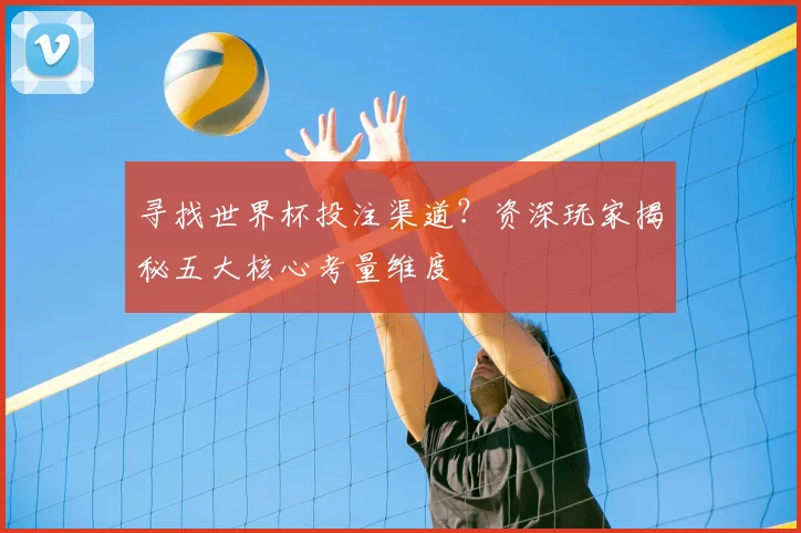 寻找世界杯投注渠道？资深玩家揭秘五大核心考量维度
