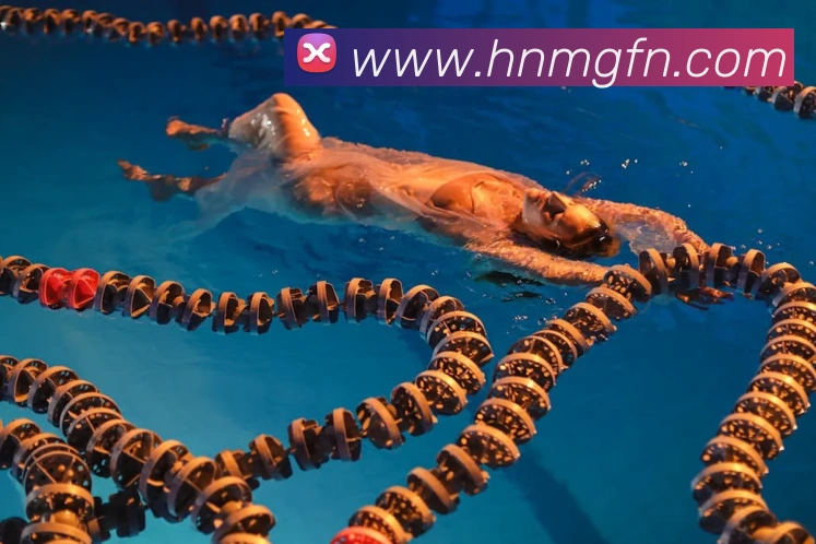 kaiyun.com官网入口平台生态图