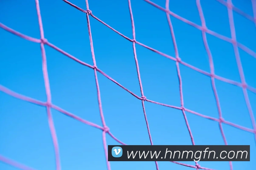 数据防护可视化